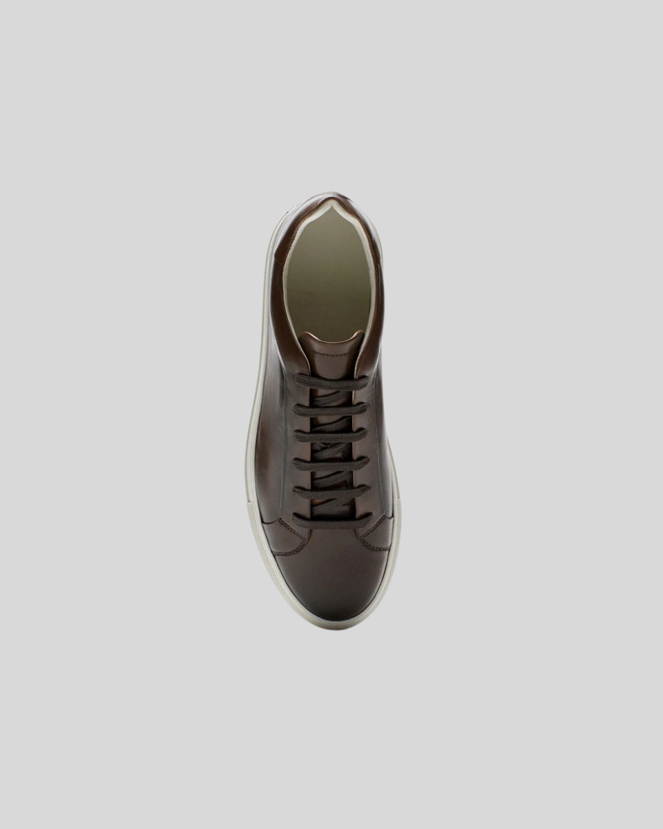 Läder Oxford Sneakers - Brun